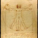 vitruvian man